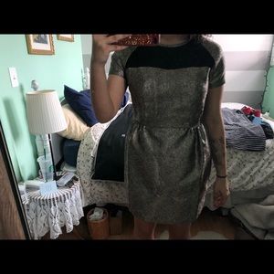 Gold and Black Mesh Dress